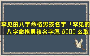 罕见的八字命格男孩名字「罕见的八字命格男孩名字怎 🐋 么取 🐟 」